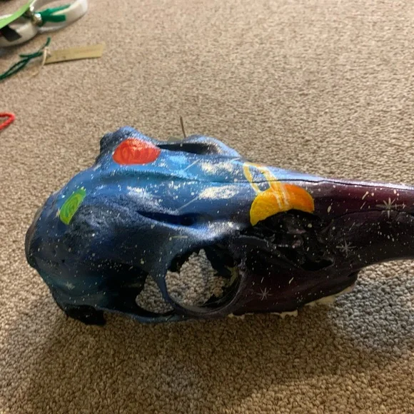 Hand painted skull